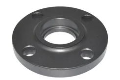 Socket Weld Flanges